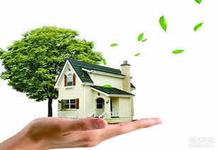 蘇州醛盾環(huán)保 專業(yè)守護(hù)車內(nèi)與室內(nèi)空氣健康，打造清新呼吸環(huán)境